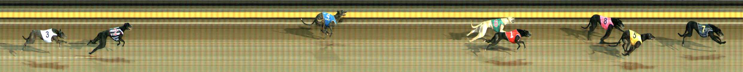 Photo finish for Ballarat Race 3