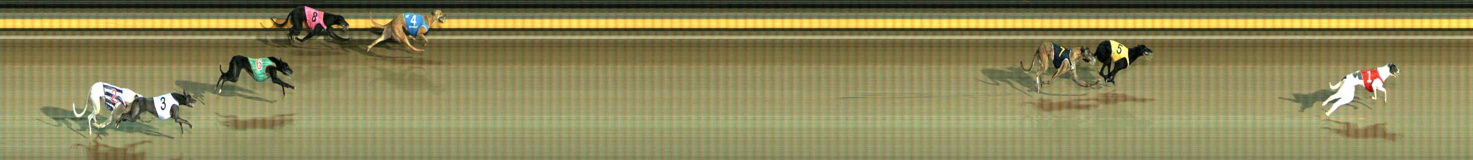Photo finish for Ballarat Race 5