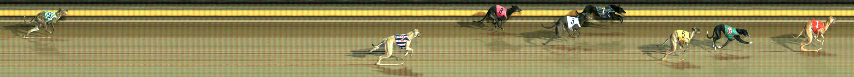 Photo finish for Ballarat Race 6