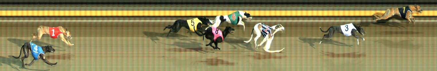 Photo finish for Ballarat Race 8