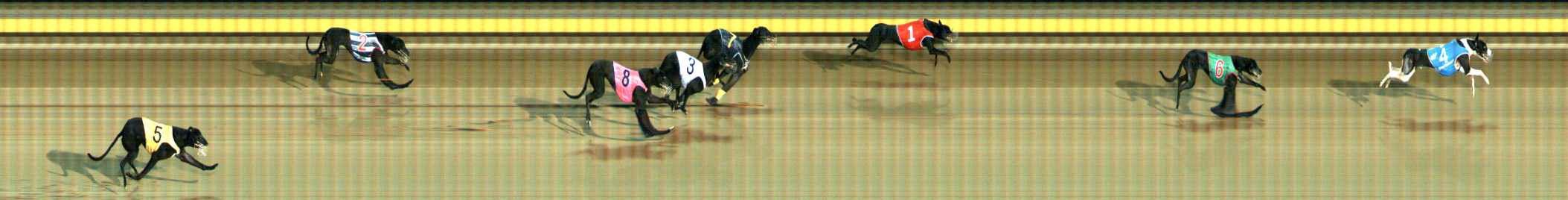 Photo finish for Ballarat Race 9