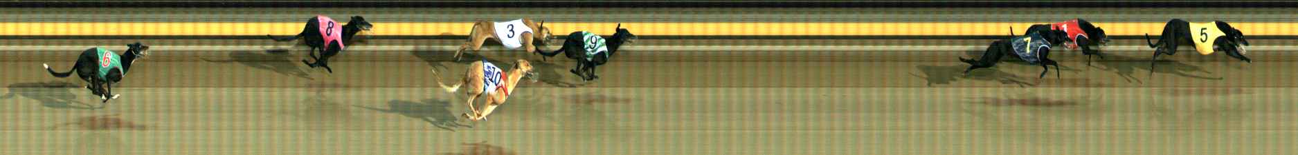 Photo finish for Ballarat Race 10