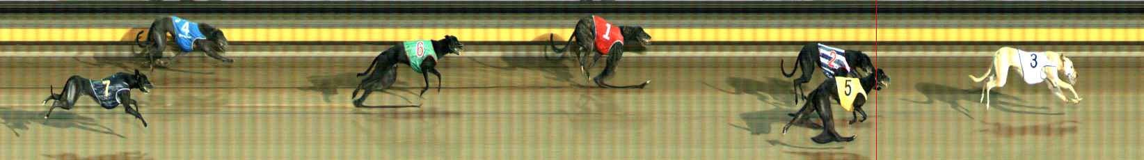 Photo finish for Ballarat Race 11