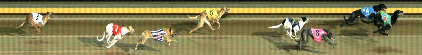Photo finish for Ballarat Race 12