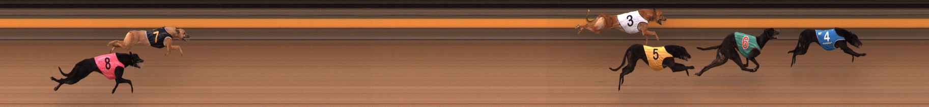 Photo finish for Ballarat Race 1