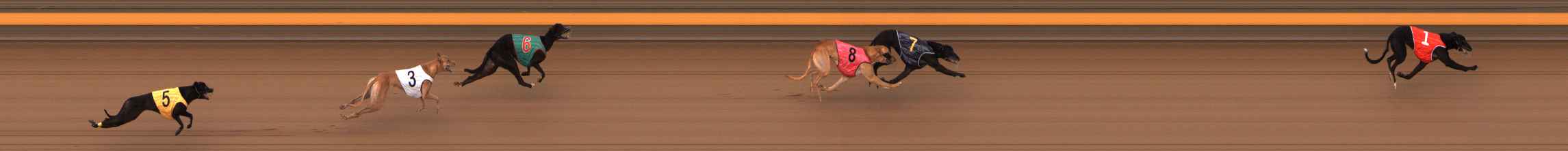 Photo finish for Ballarat Race 2