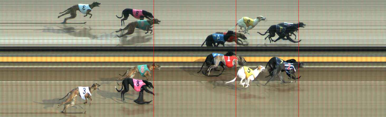 Photo finish for Ballarat Race 7