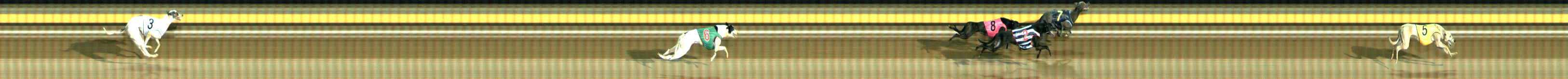 Photo finish for Ballarat Race 10