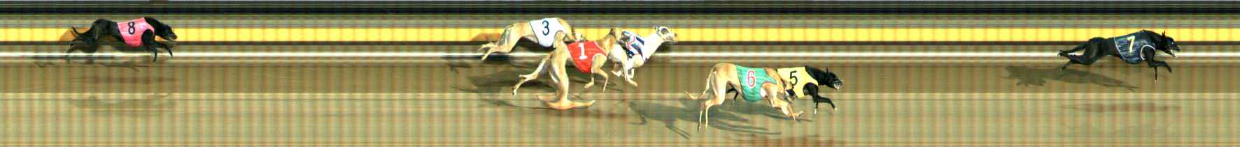 Photo finish for Ballarat Race 11