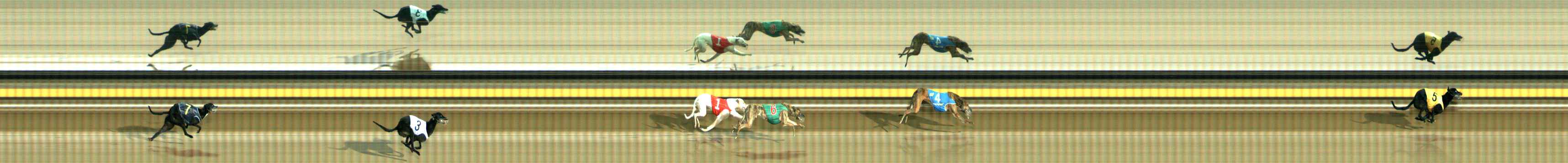 Photo finish for Ballarat Race 12