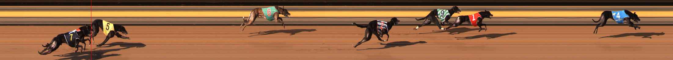 Photo finish for Ballarat Race 2
