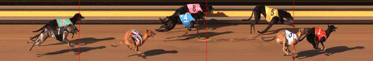 Photo finish for Ballarat Race 3
