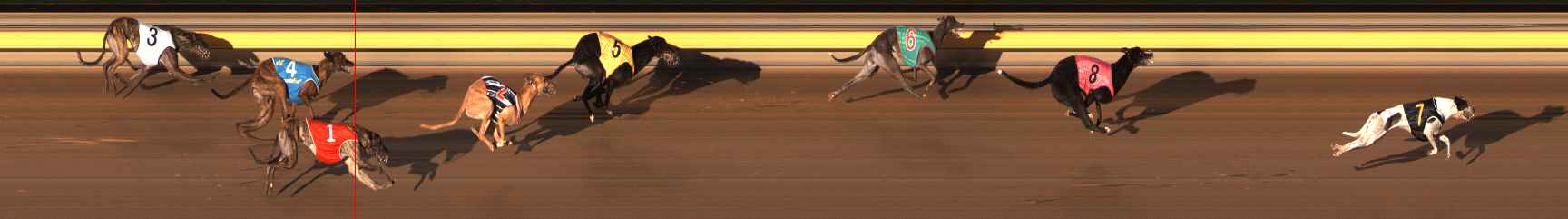 Photo finish for Ballarat Race 8