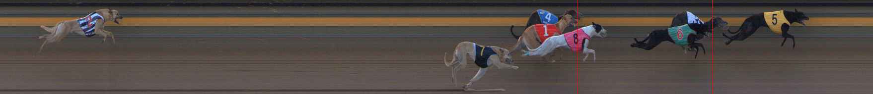 Photo finish for Ballarat Race 11