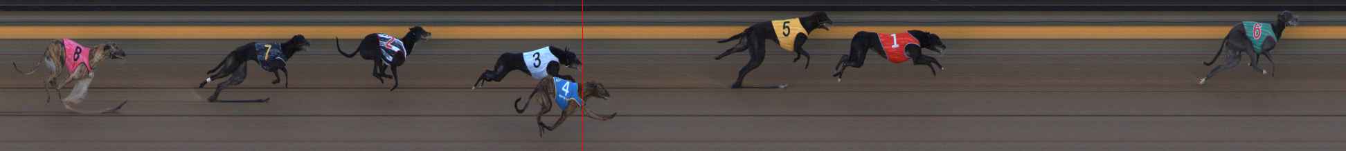 Photo finish for Ballarat Race 12