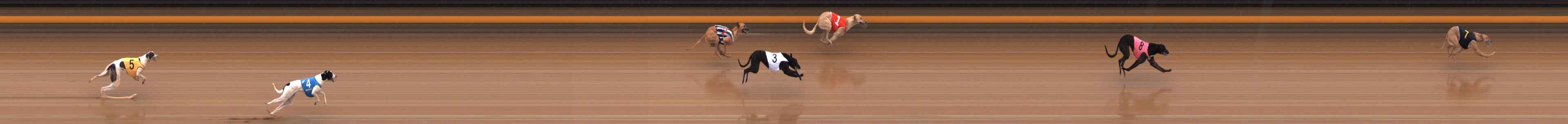 Photo finish for Ballarat Race 2