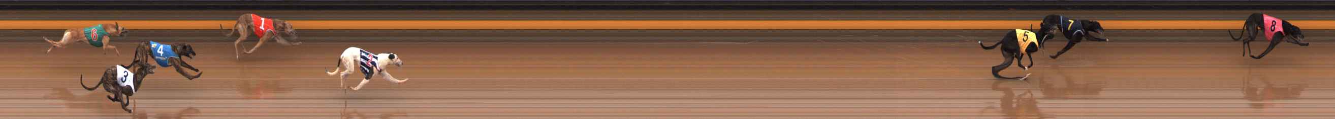 Photo finish for Ballarat Race 3