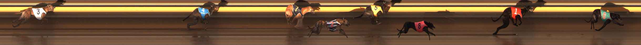 Photo finish for Ballarat Race 6