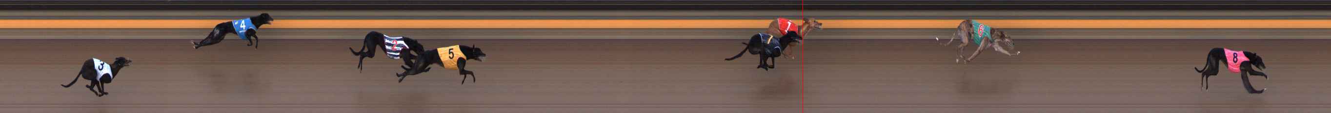 Photo finish for Ballarat Race 8