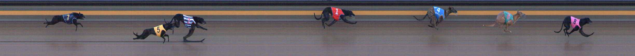 Photo finish for Ballarat Race 9
