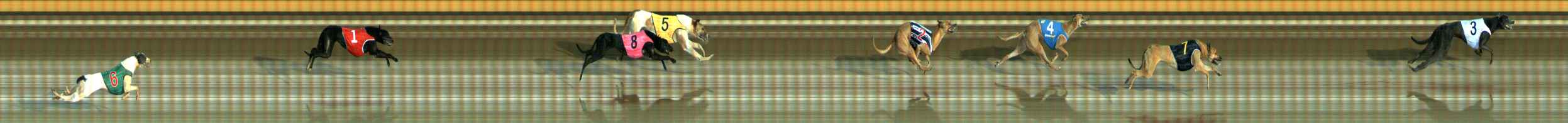 Photo finish for Ballarat Race 10