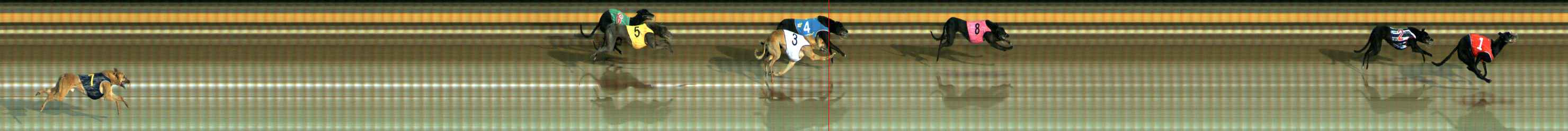 Photo finish for Ballarat Race 11