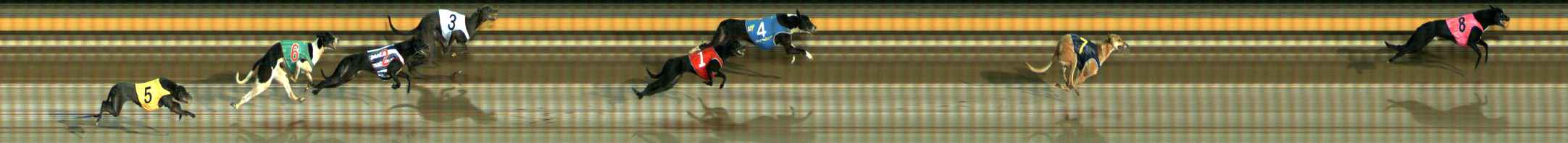 Photo finish for Ballarat Race 12