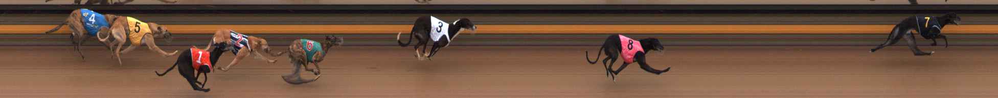 Photo finish for Ballarat Race 3