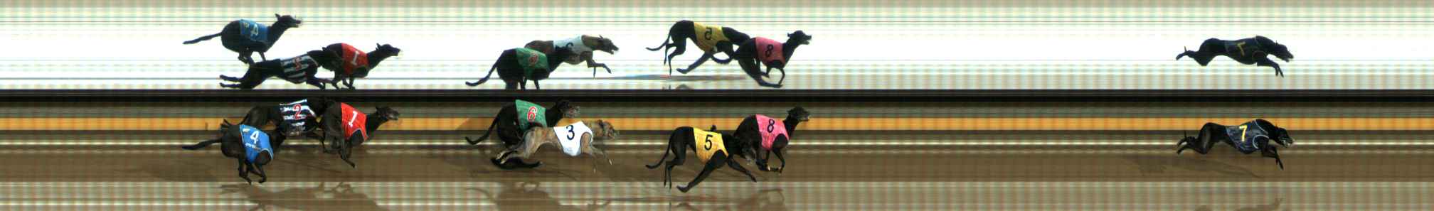 Photo finish for Ballarat Race 7