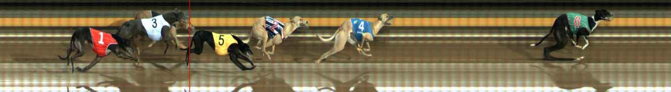 Photo finish for Ballarat Race 8