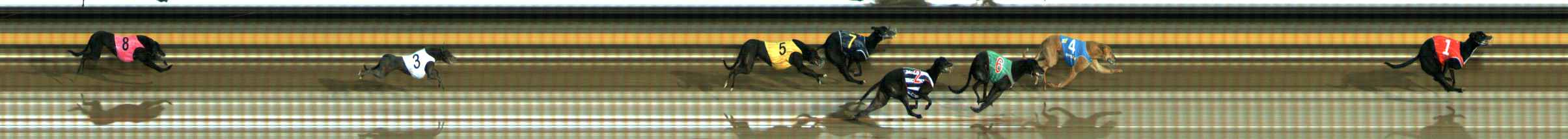 Photo finish for Ballarat Race 9