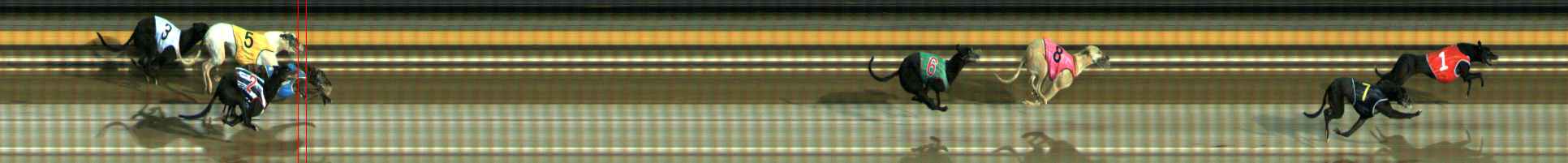 Photo finish for Ballarat Race 10