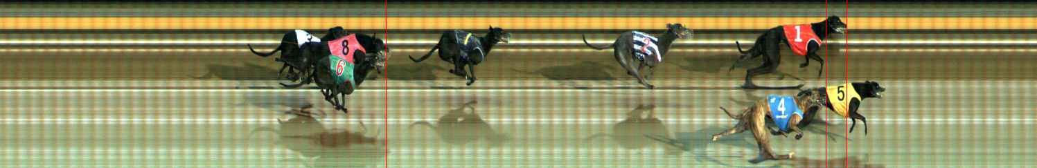 Photo finish for Ballarat Race 11