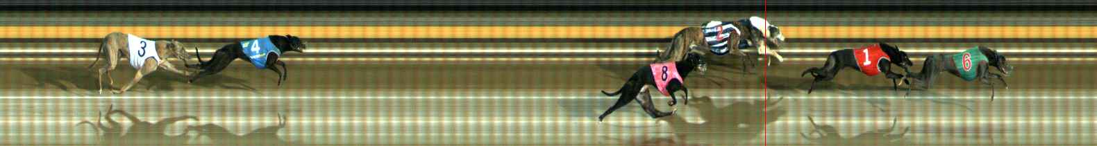 Photo finish for Ballarat Race 12