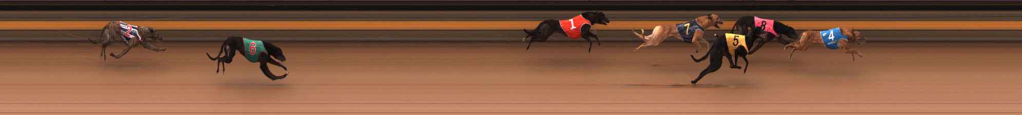 Photo finish for Ballarat Race 1