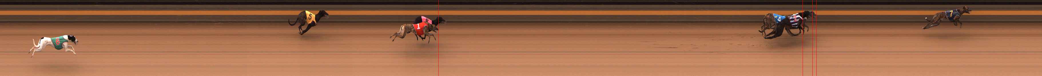 Photo finish for Ballarat Race 2