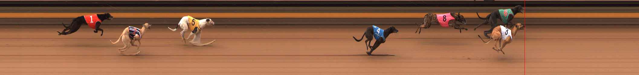Photo finish for Ballarat Race 3