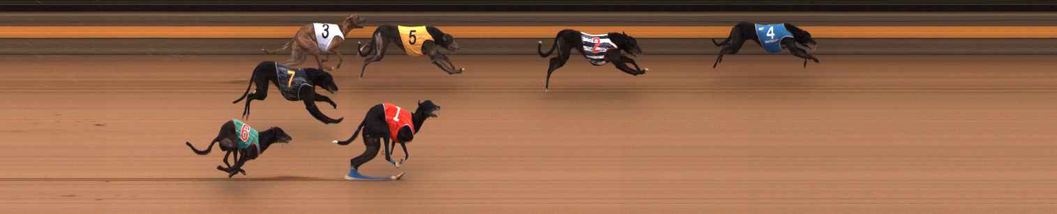 Photo finish for Ballarat Race 8