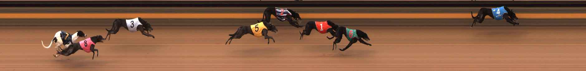 Photo finish for Ballarat Race 10
