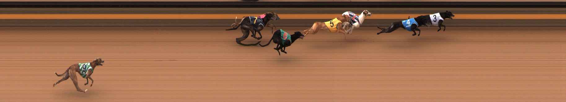 Photo finish for Ballarat Race 11