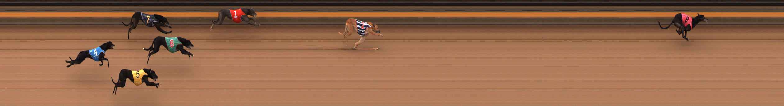 Photo finish for Ballarat Race 12