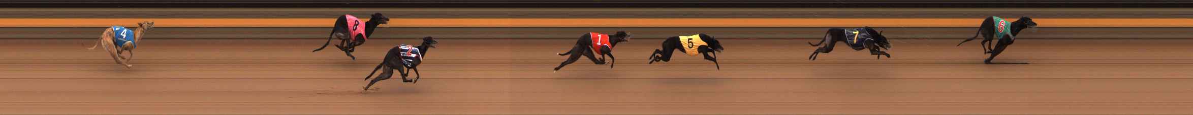 Photo finish for Ballarat Race 13