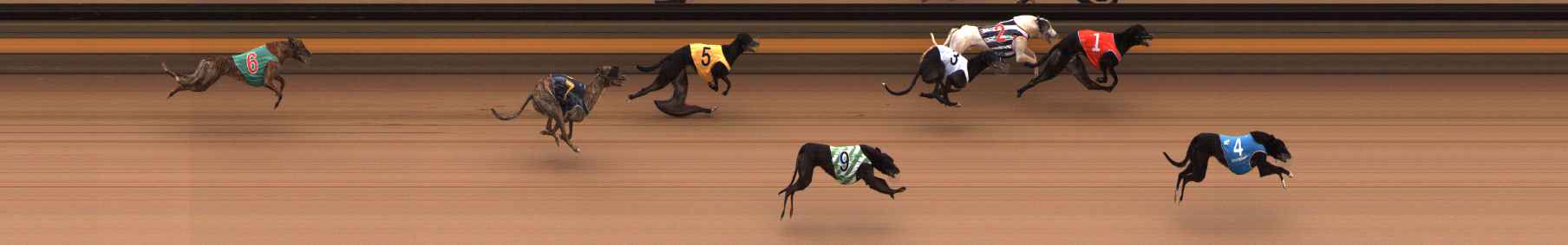 Photo finish for Ballarat Race 14