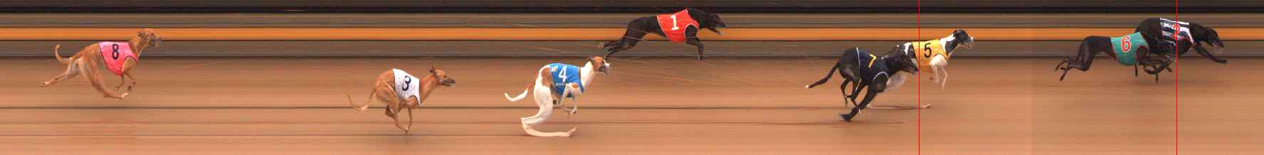 Photo finish for Ballarat Race 1