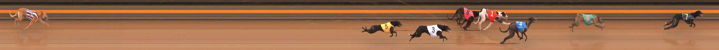 Photo finish for Ballarat Race 4