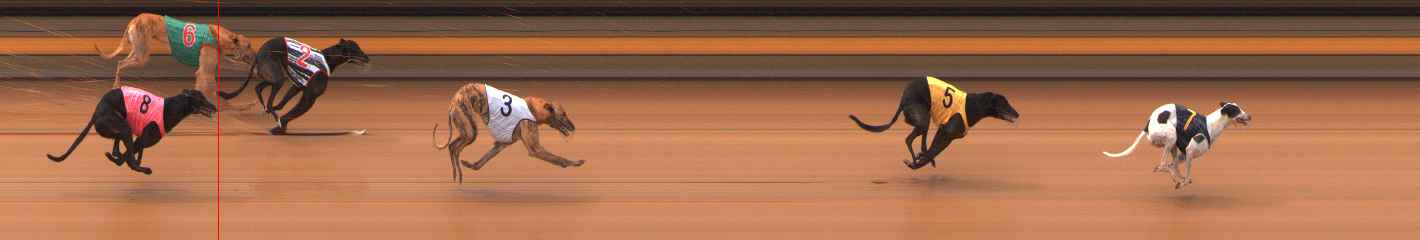 Photo finish for Ballarat Race 5