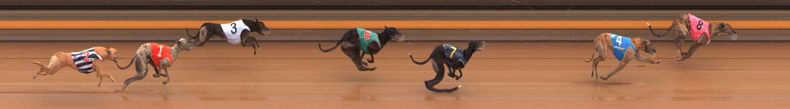 Photo finish for Ballarat Race 6