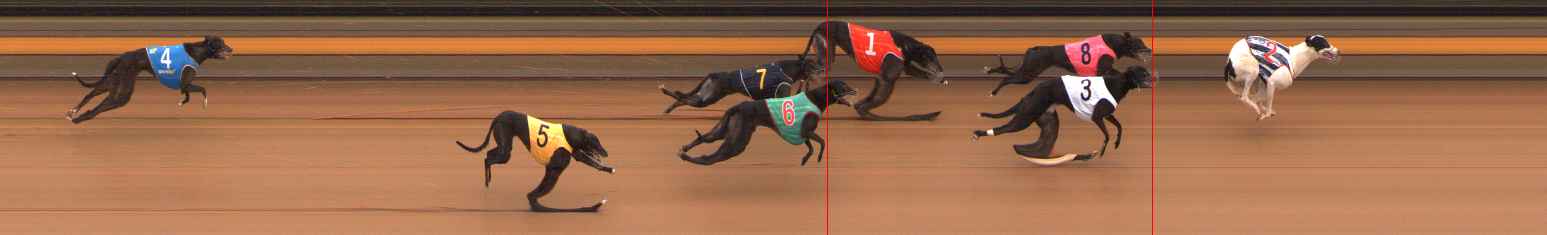 Photo finish for Ballarat Race 8