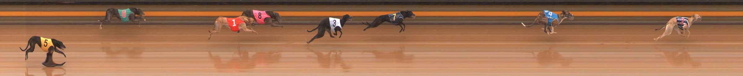 Photo finish for Ballarat Race 10