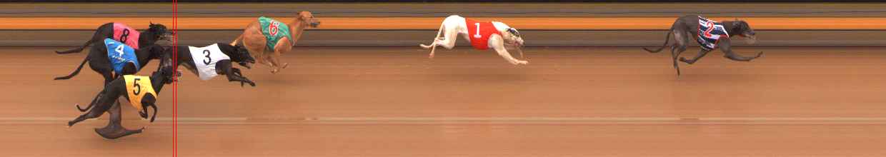 Photo finish for Ballarat Race 11